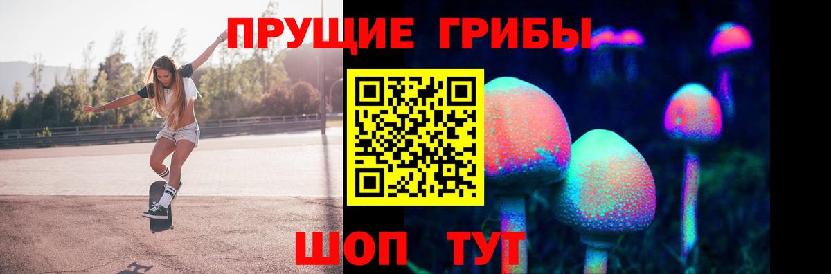 где купить   Вход с VPN  Арсеньев  Галлюциногенные грибы мицелий 