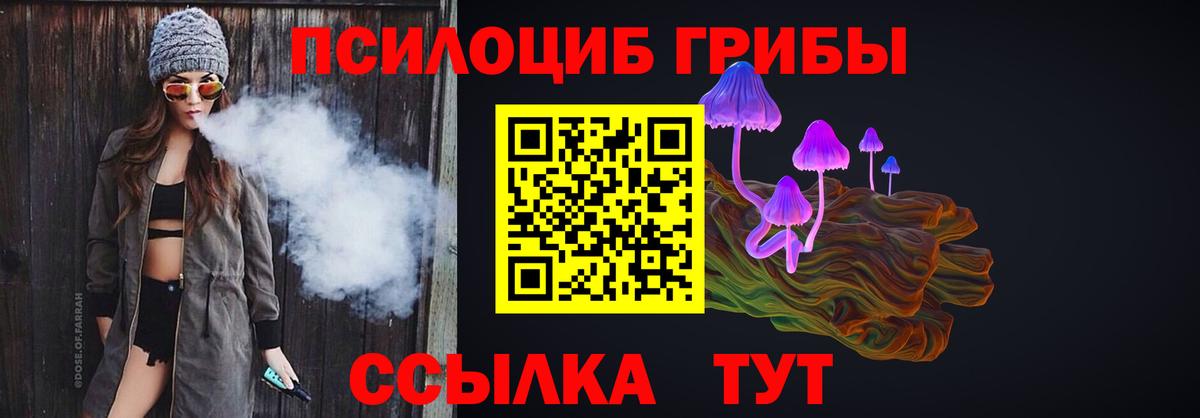 Псилоцибиновые грибы Psilocybe Арсеньев