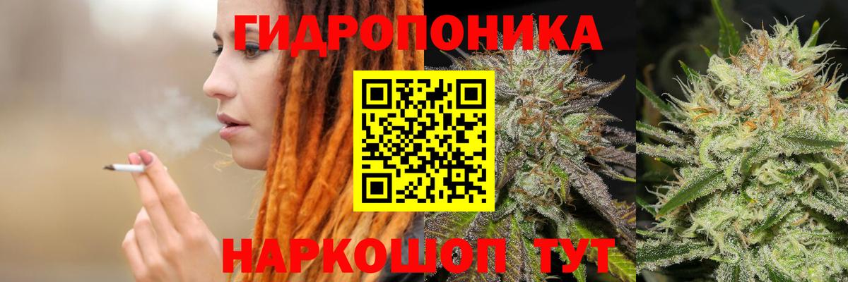 Каннабис Bruce Banner  МАРИХУАНА Bruce Banner  Бошки марихуана индика  Вход с VPN  Арсеньев  Бошки Шишки SATIVA & INDICA 